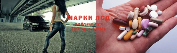 индика Балахна