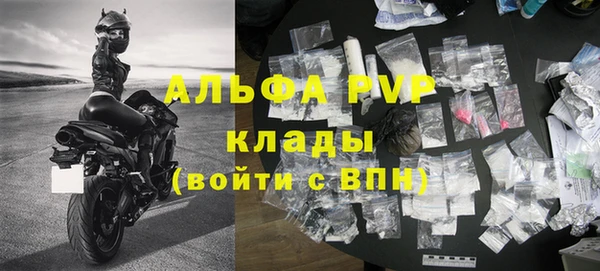 индика Балахна