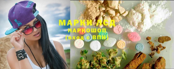 индика Балахна