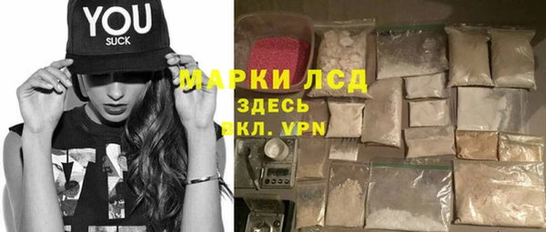 трава Арсеньев