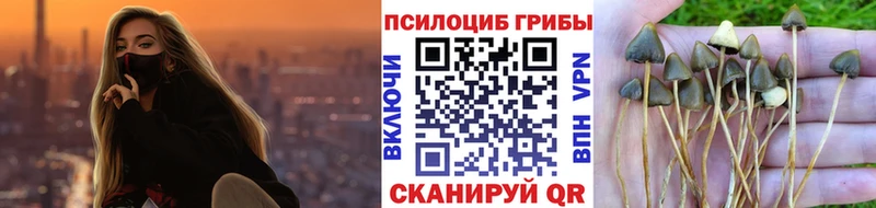 МЕГА ТОР  Пестово  Псилоцибиновые грибы Psilocybine cubensis  как найти наркотики 